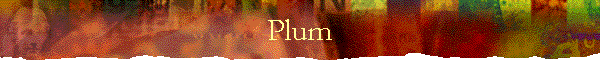 Plum